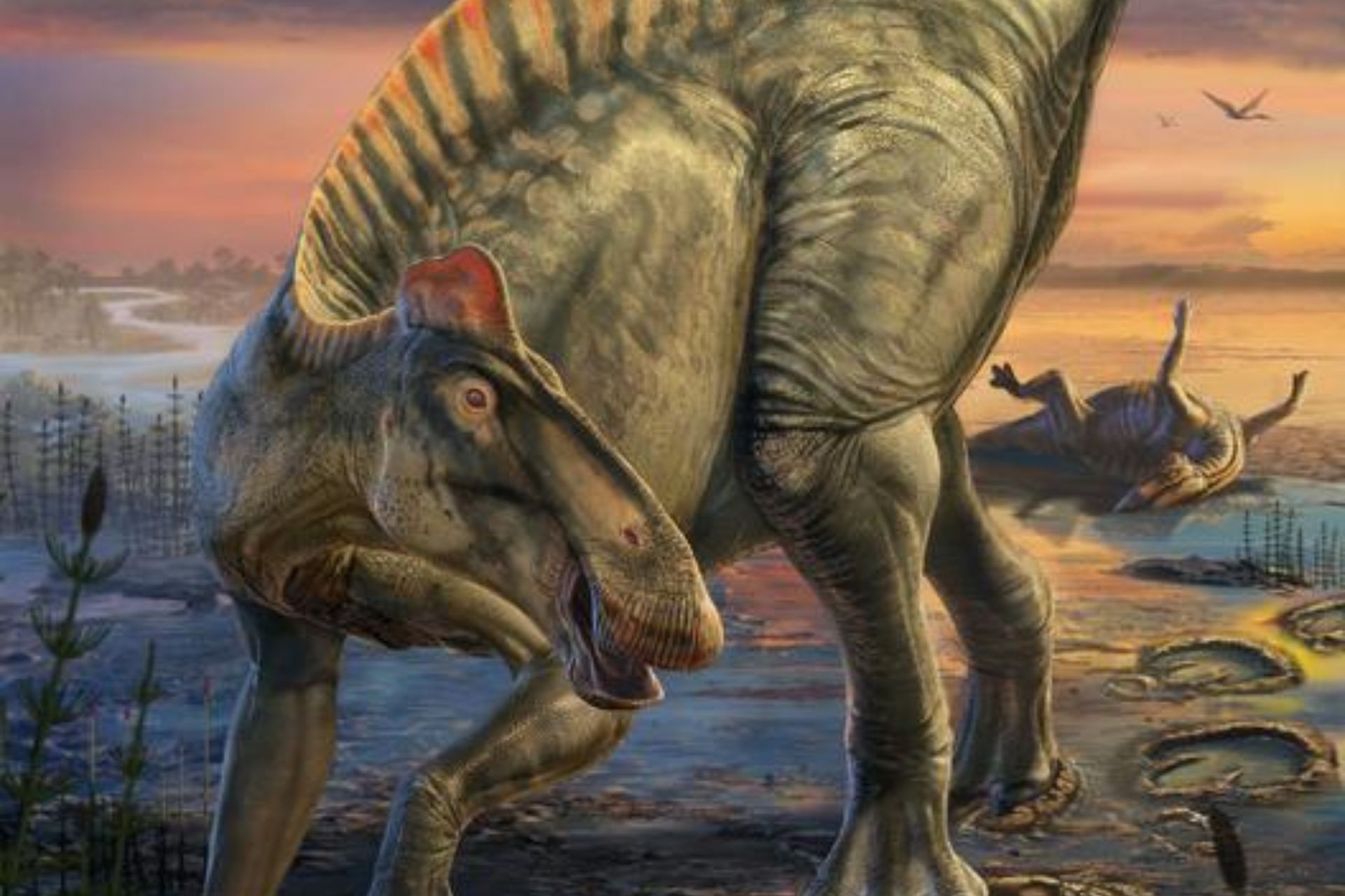 Rare Dinosaur ‘Mummies’ Show Their Features as We’ve Never Seen Them Before