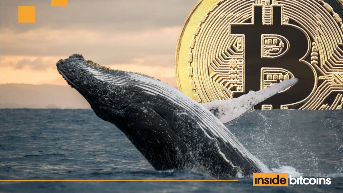 Satoshi-Era Bitcoin Whale Wakes Up After 14 Years As BTC Options OI Hits Record High