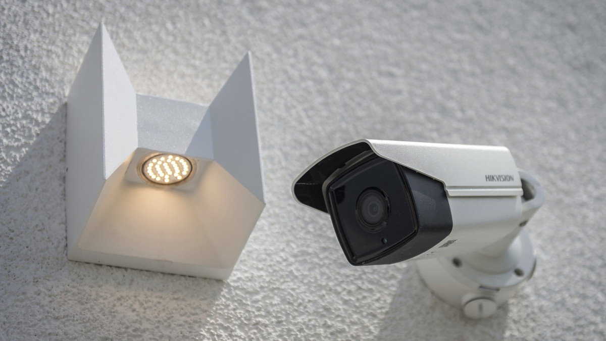 Schlusslicht: Der Hund am Kühlschrank