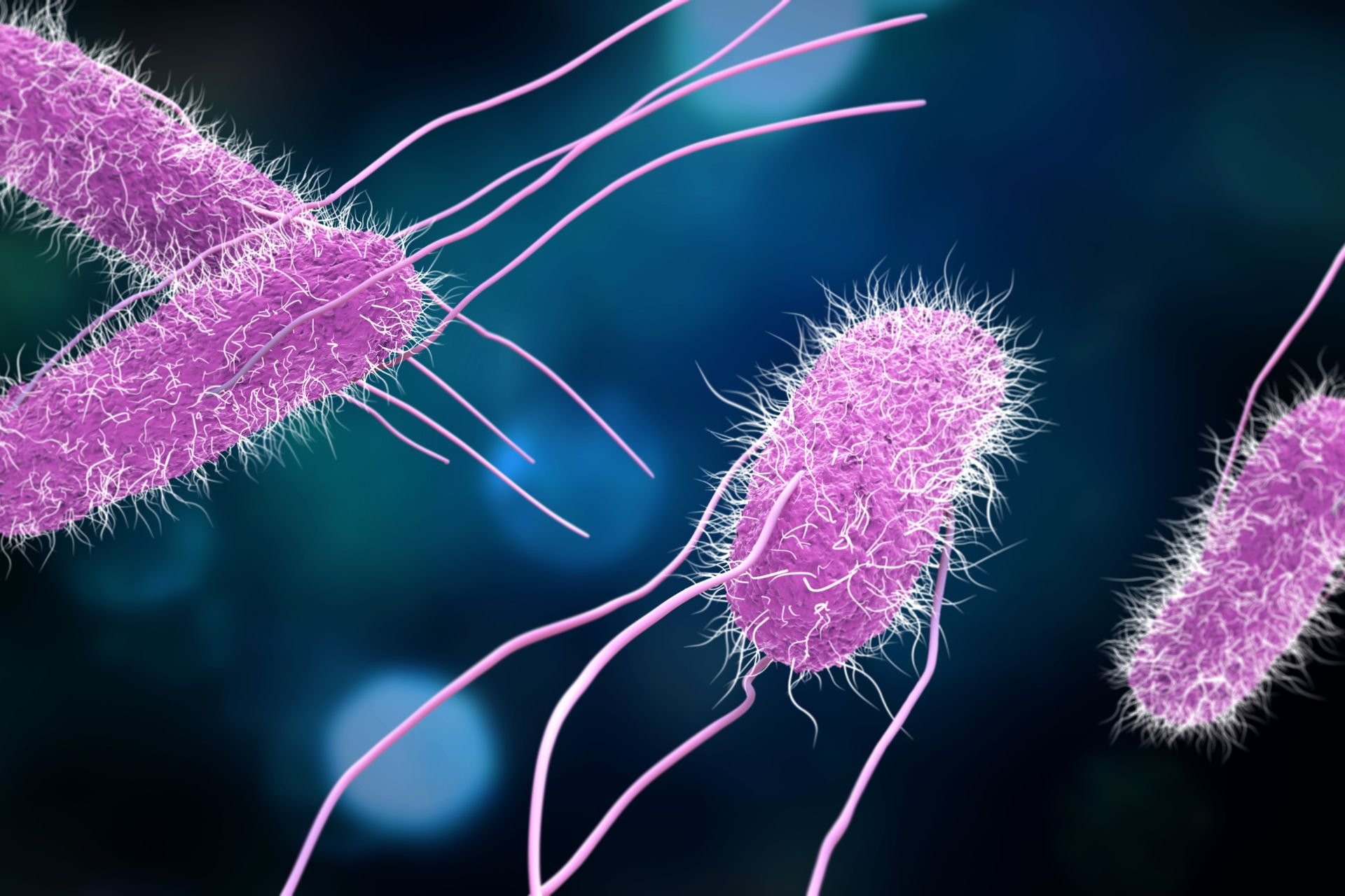 Scientists Are Testing a Vaccine for Food Poisoning. It Can’t Come Soon Enough