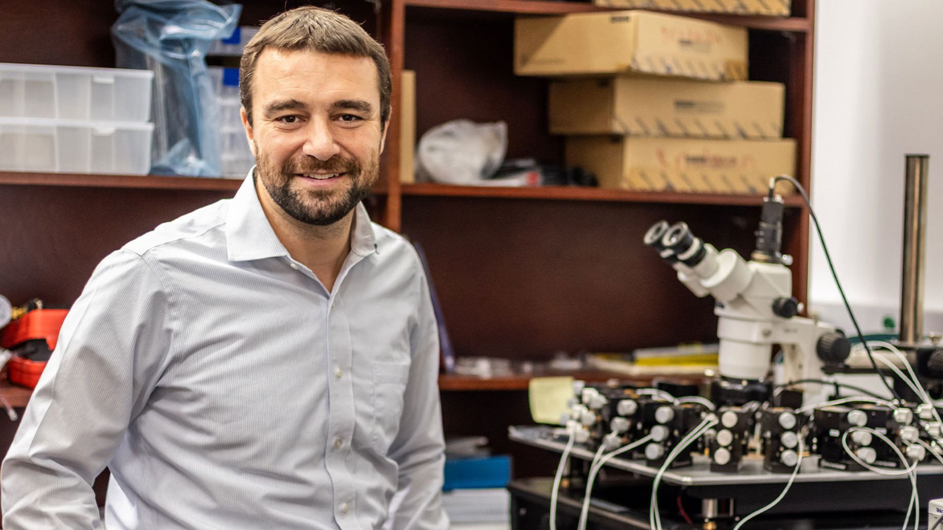 Scientists build brain-like computer that could bring self-learning AI to phones