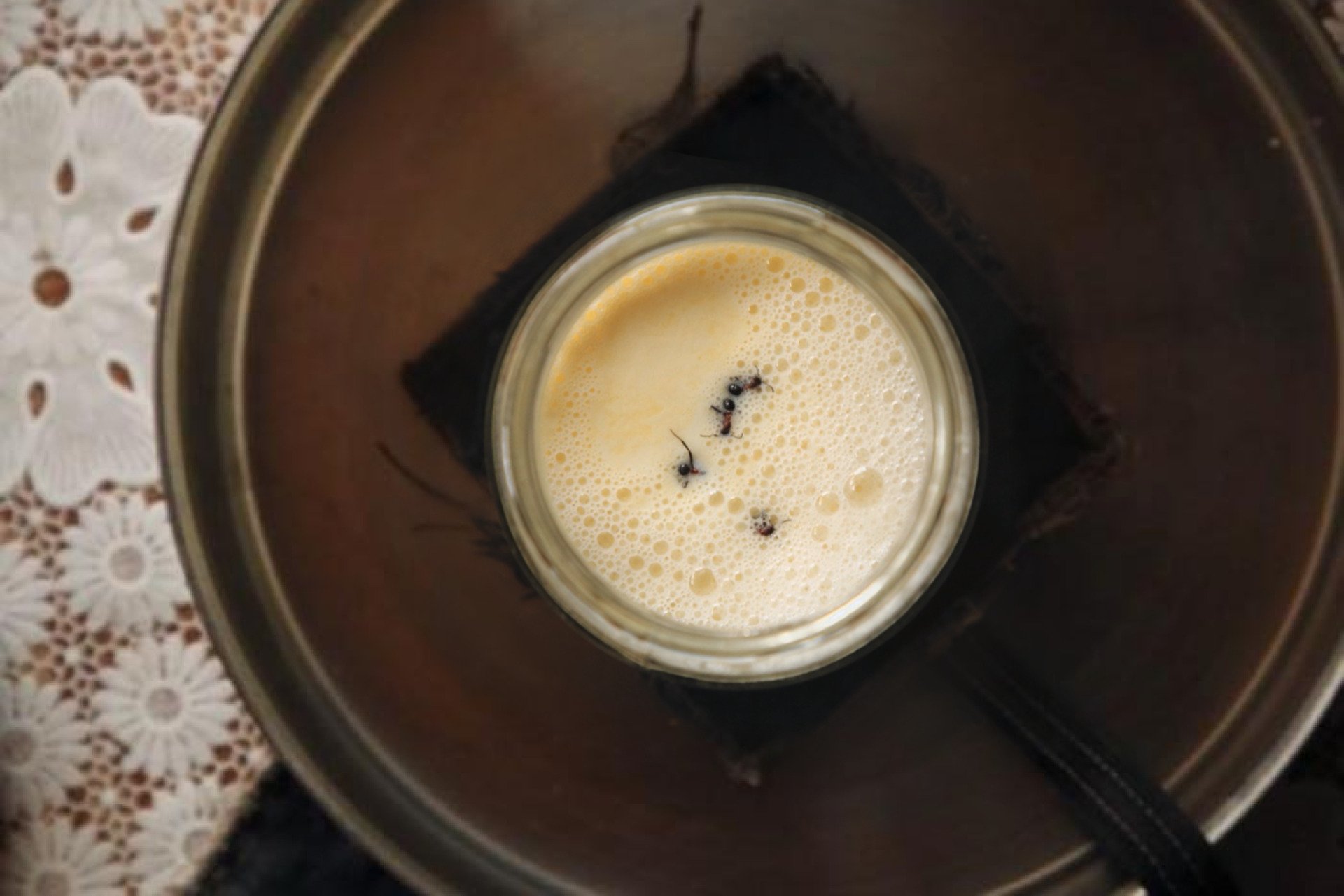 Scientists Team Up With Michelin Chefs to Recreate Ancient Yogurt—With Ants