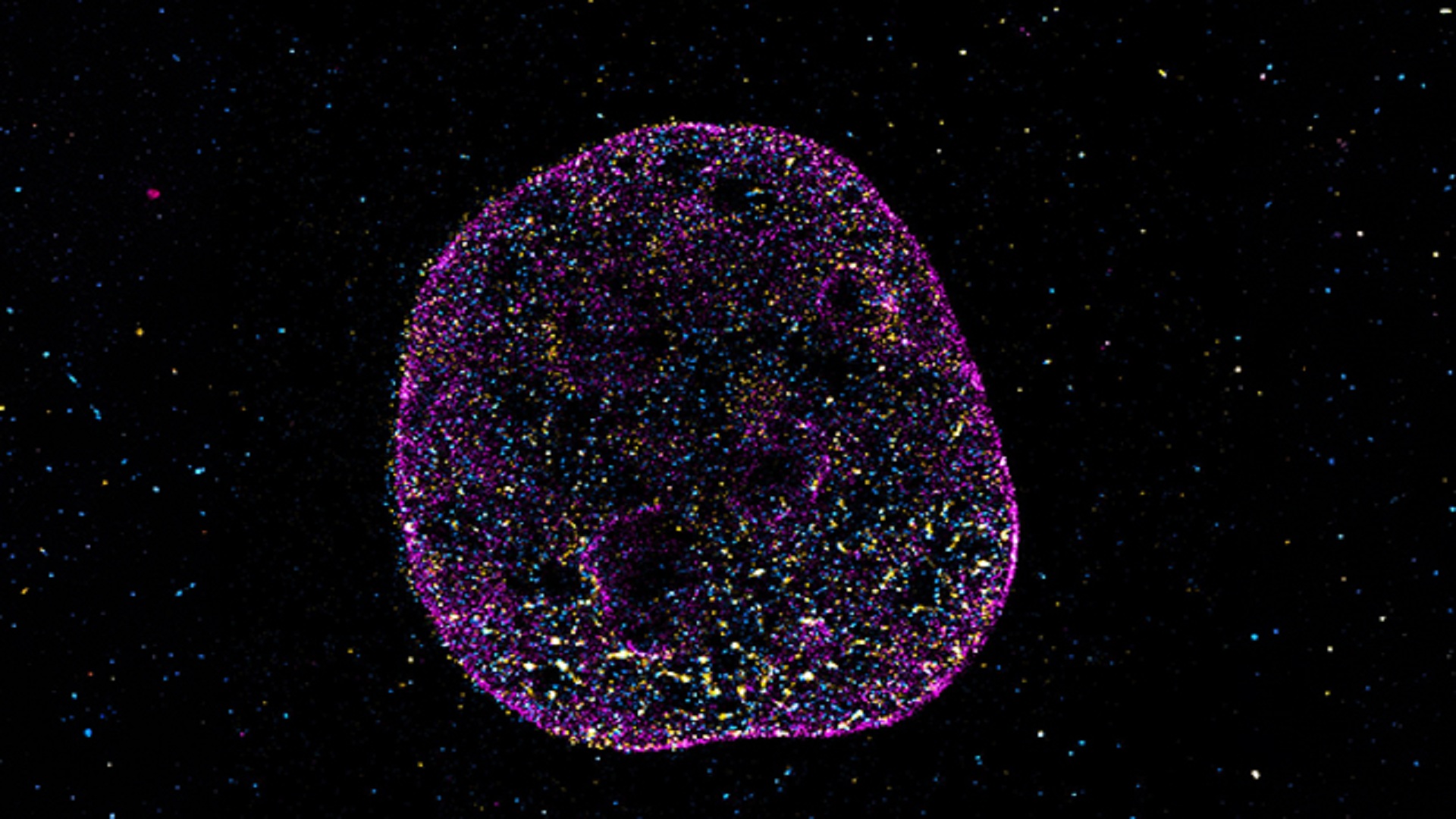 Scientists uncover hidden ‘geometric code’ that helps DNA compute and remember