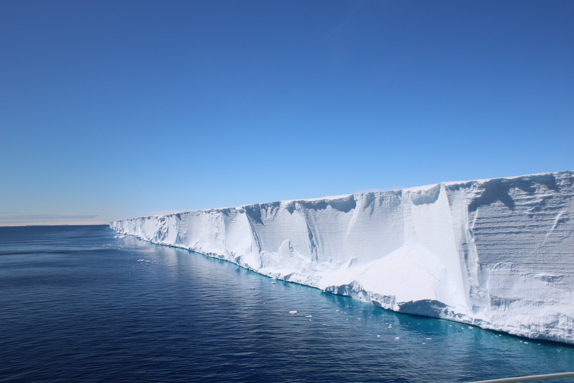 Scientists Went Looking for Shackleton’s Endurance. They found a Hidden Fish City in Perfect Formation Instead