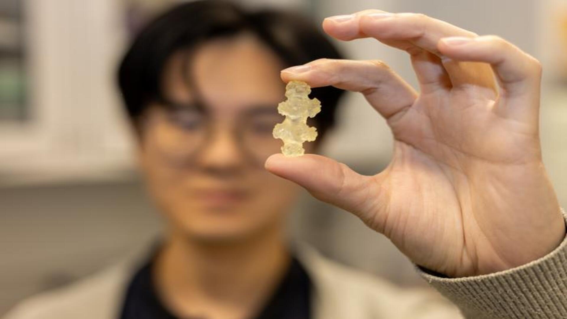Shape-shifting coral that goes from soft to stiff in seconds to redefine robotics