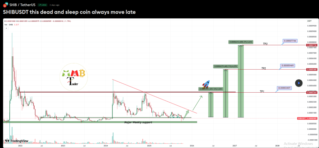 Shiba Inu Might Be ‘Dead And Sleeping’, But Not For Long, Crypto Expert Says