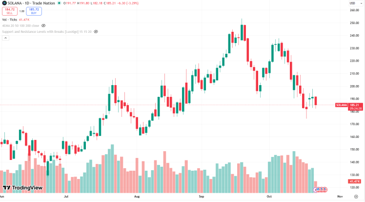 Solana $192 Breakout Could Lead to Rally as Solana Meme Coins like $SNORT Amp Up