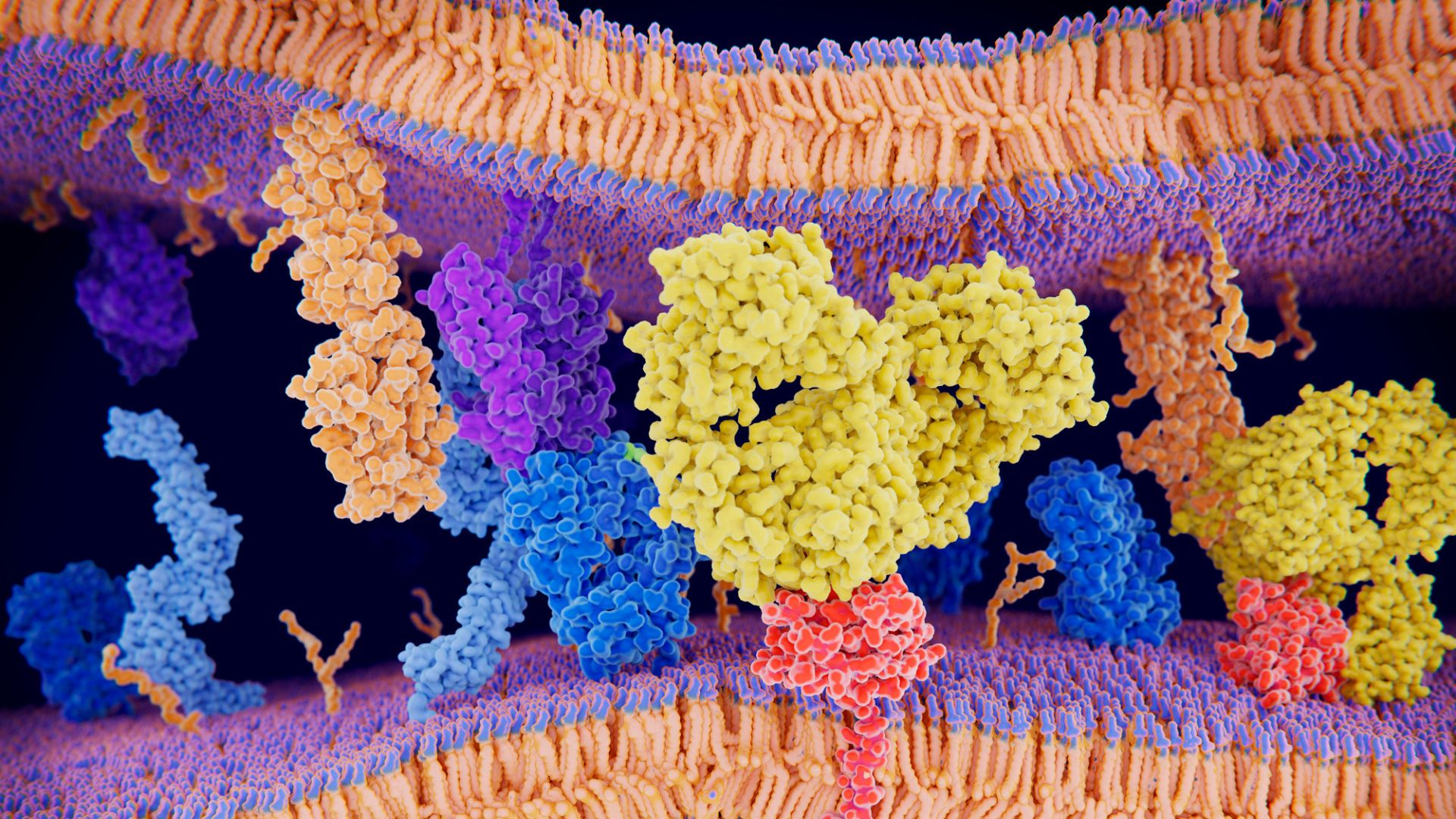 Supercomputer decodes protein ‘language,’ offering new clues to fight cancer