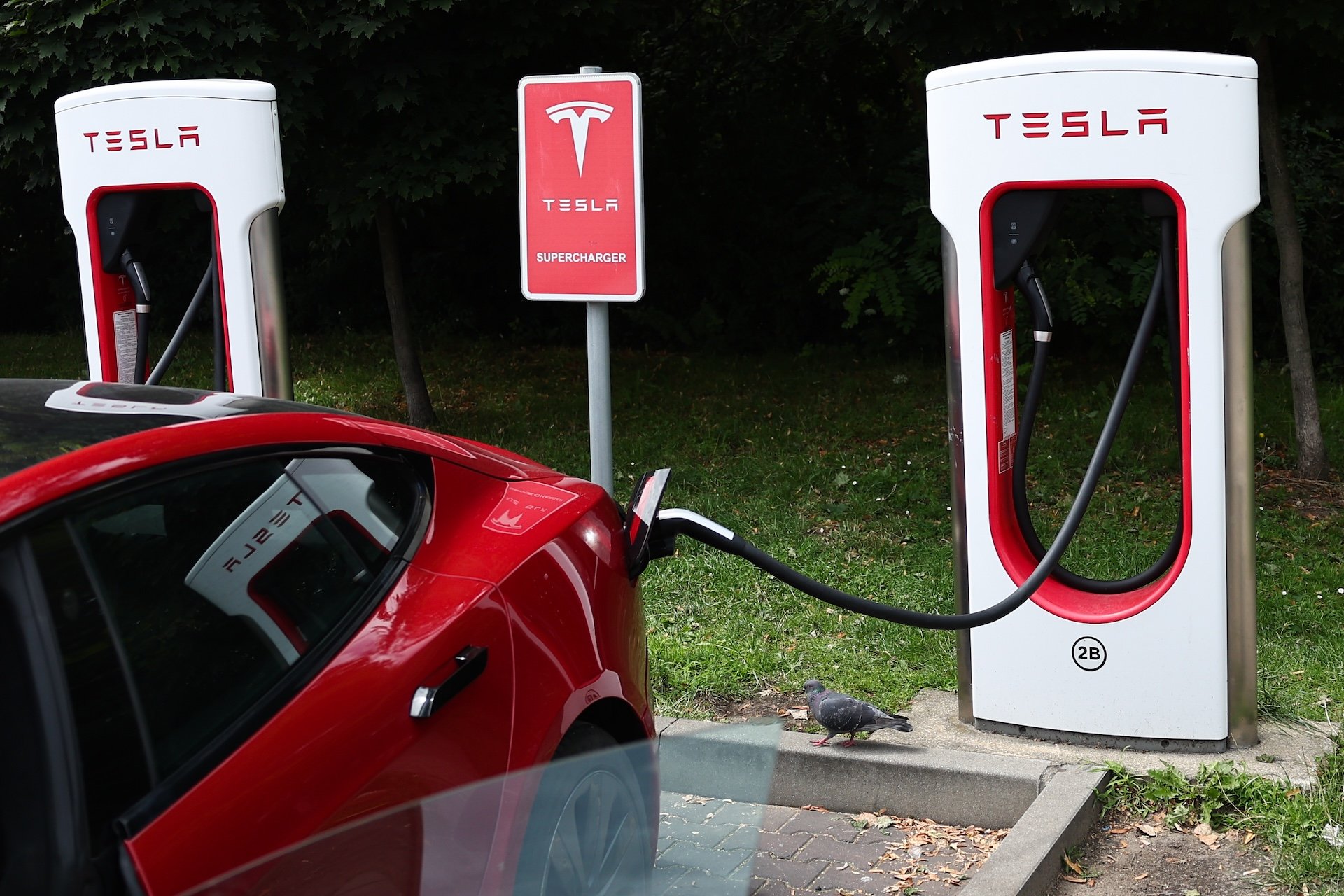 Tesla Hikes Prices After the Government Cash Grinds to a Halt
