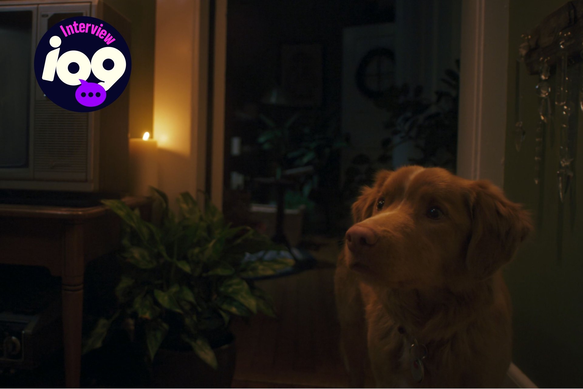 The Director of ‘Good Boy’ Talks Taking on the ‘Does the Dog Die?’ Trope