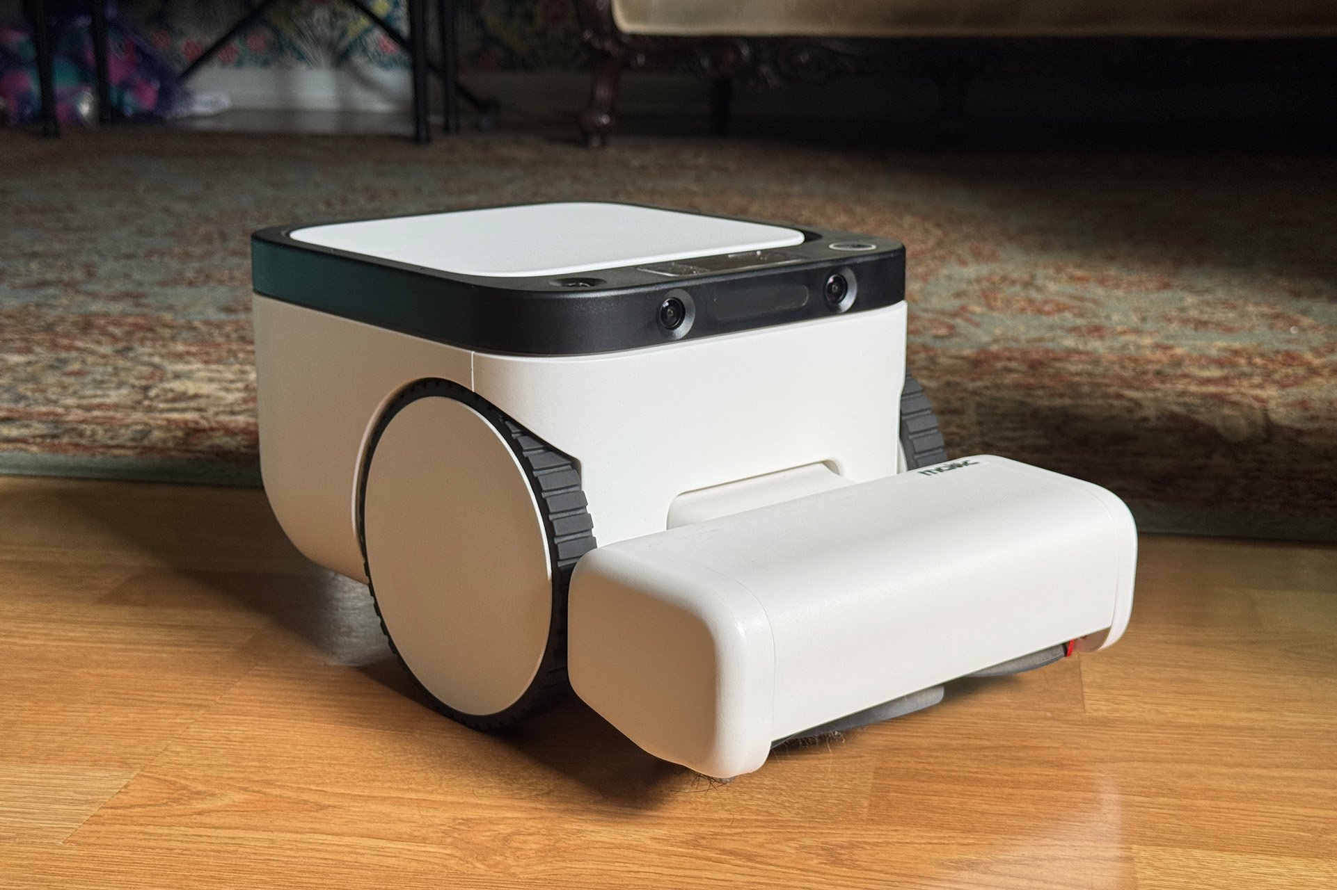 The Matic Robot Vacuum Charms and Sucks (in a Good Way)