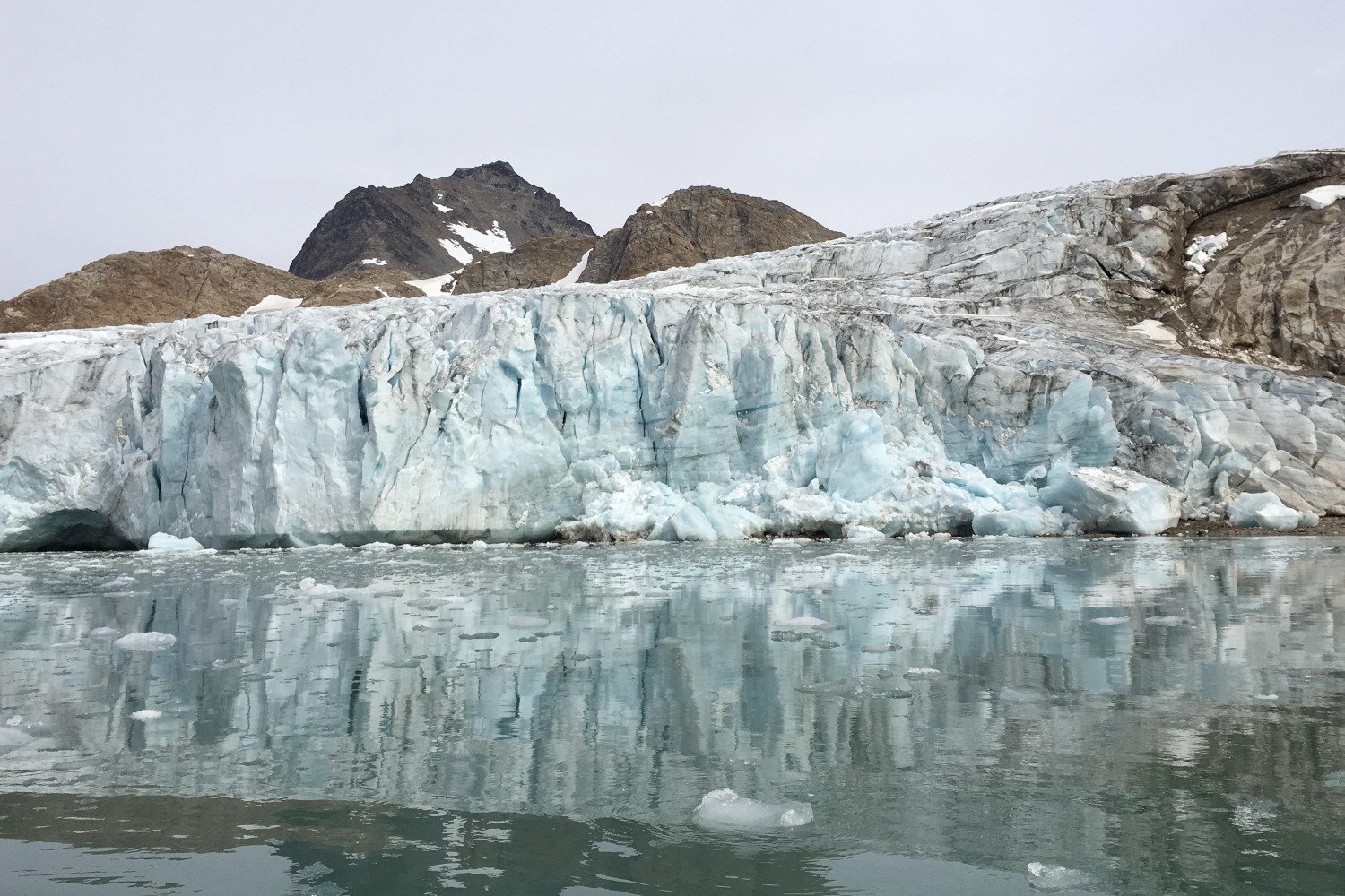The Ocean Is a Carbon Toilet. Marine Heat Waves Are Clogging It.