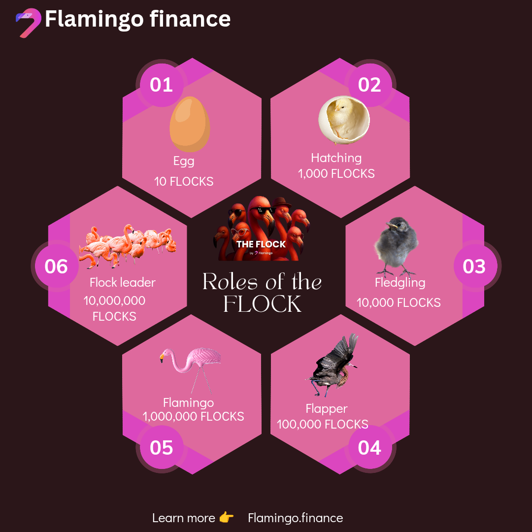 THE POWER OF THE FLOCK: HOW FLAMINGO FINANCE IS REDEFINING COMMUNITY IN DEFI