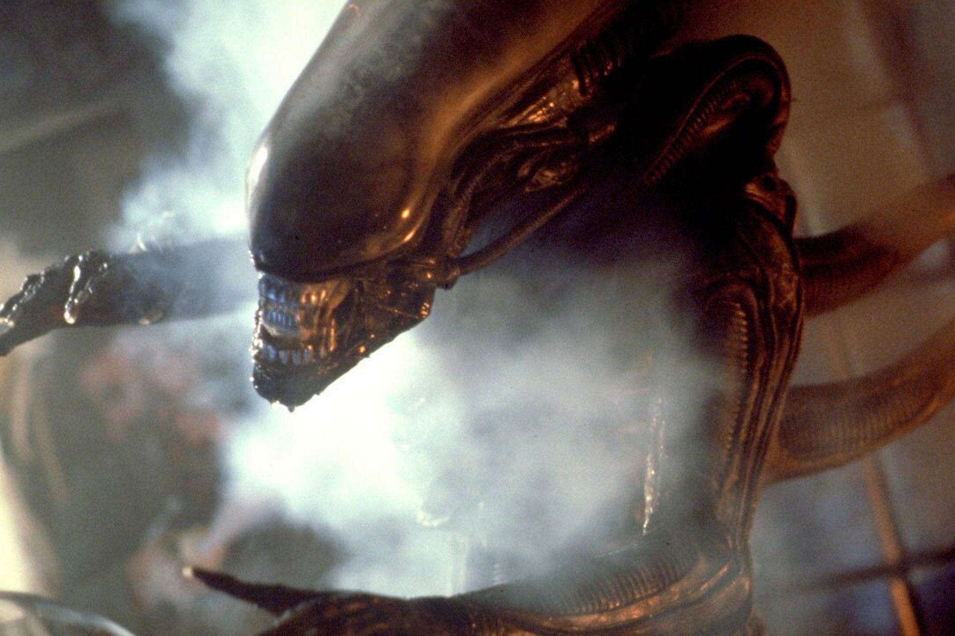 The Woman Behind the Legendary ‘Alien’ Tagline Has Died
