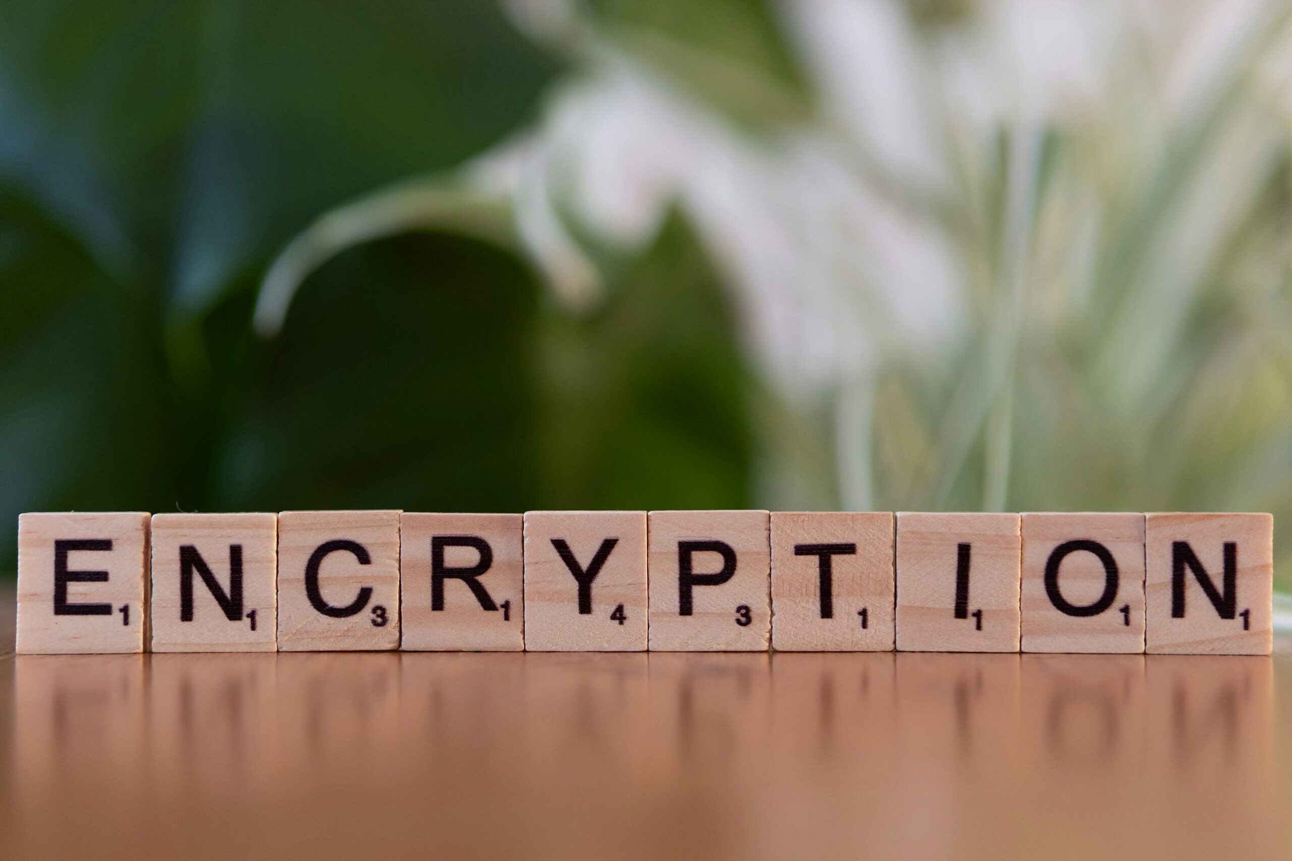 Understanding Cryptocurrency: The Future of Money or Just a Trend?