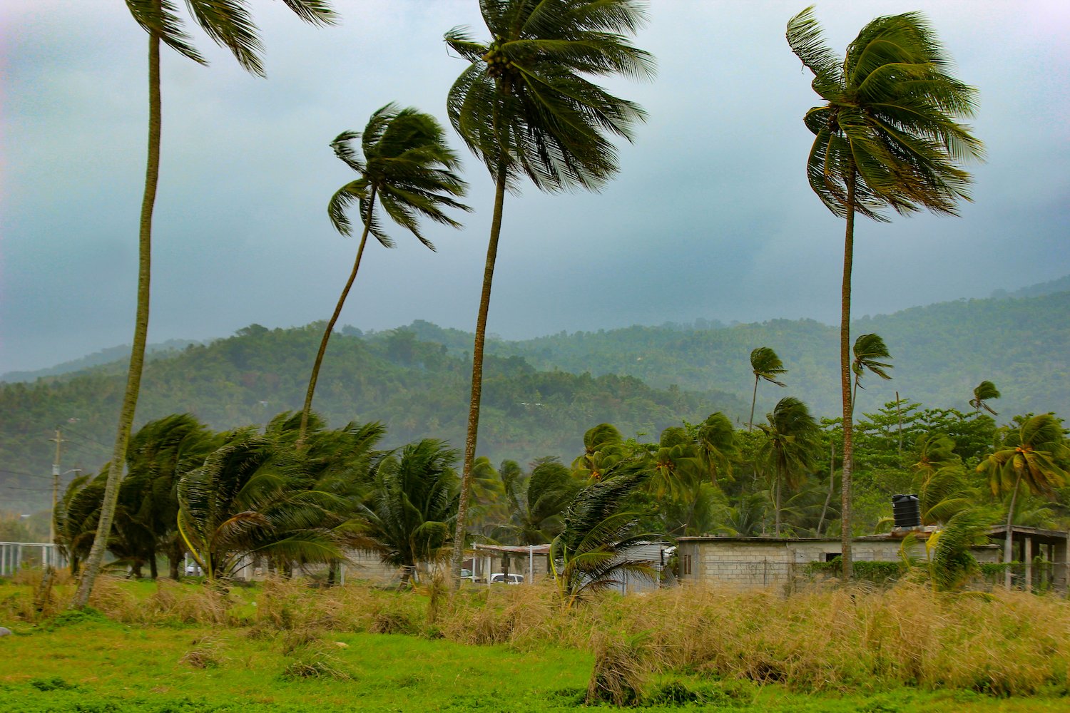 Watch These Live Webcam Views of Jamaica as Hurricane Melissa Makes Landfall
