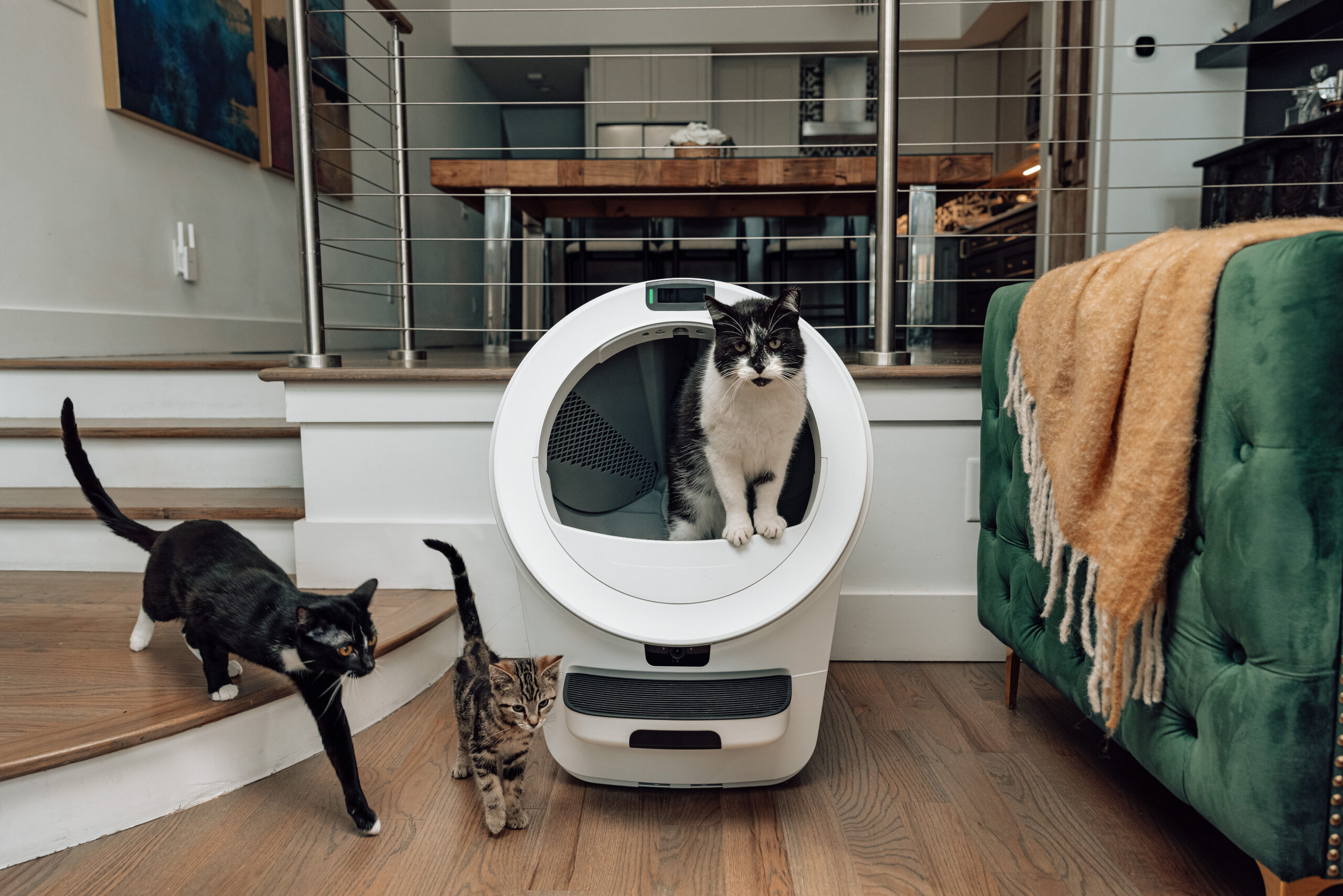 Whisker’s latest Litter-Robot uses AI to recognize your cat’s face and poop