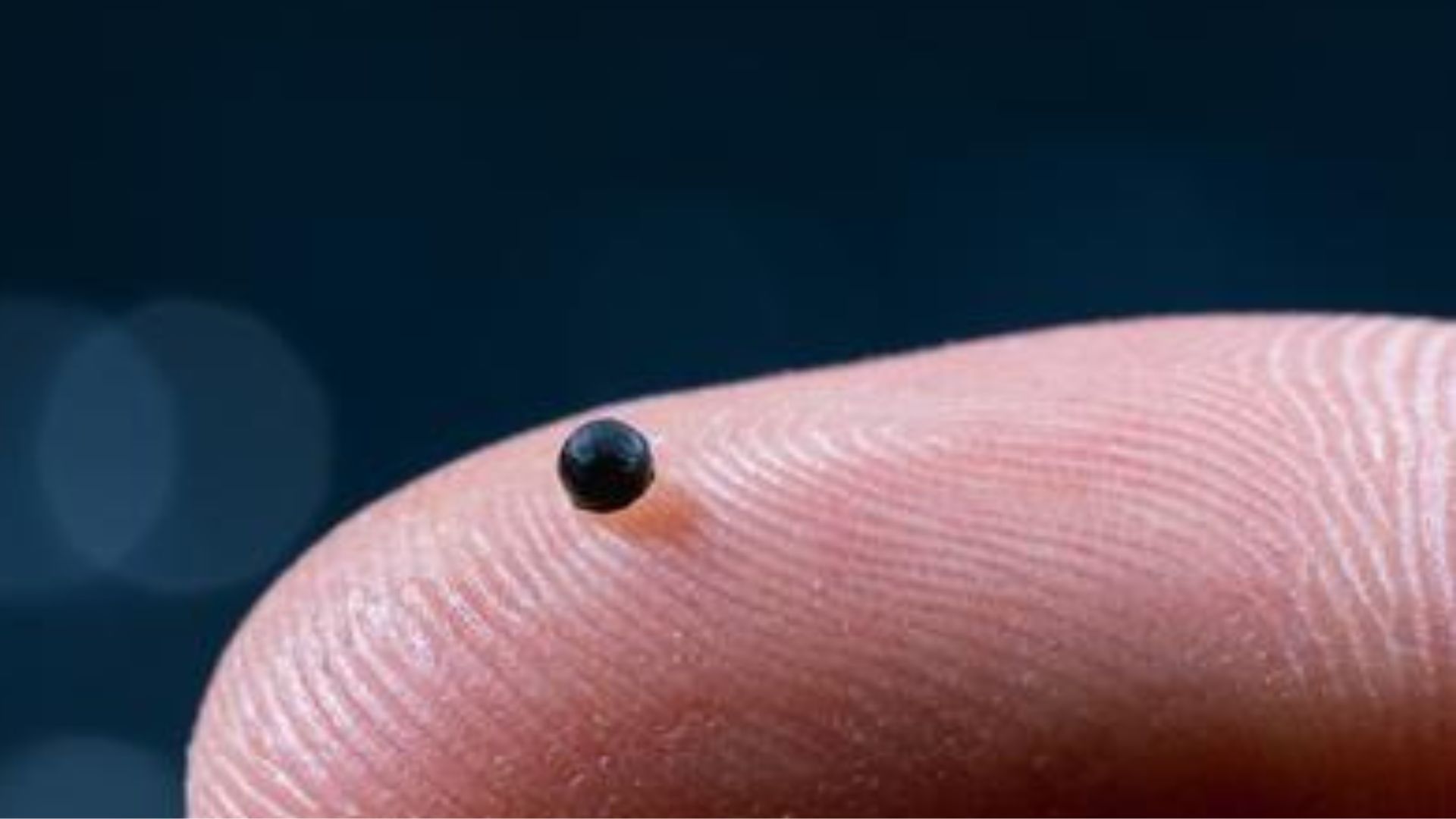 95% success rate: Tiny robots deliver drugs directly to clots to fight strokes, tumors