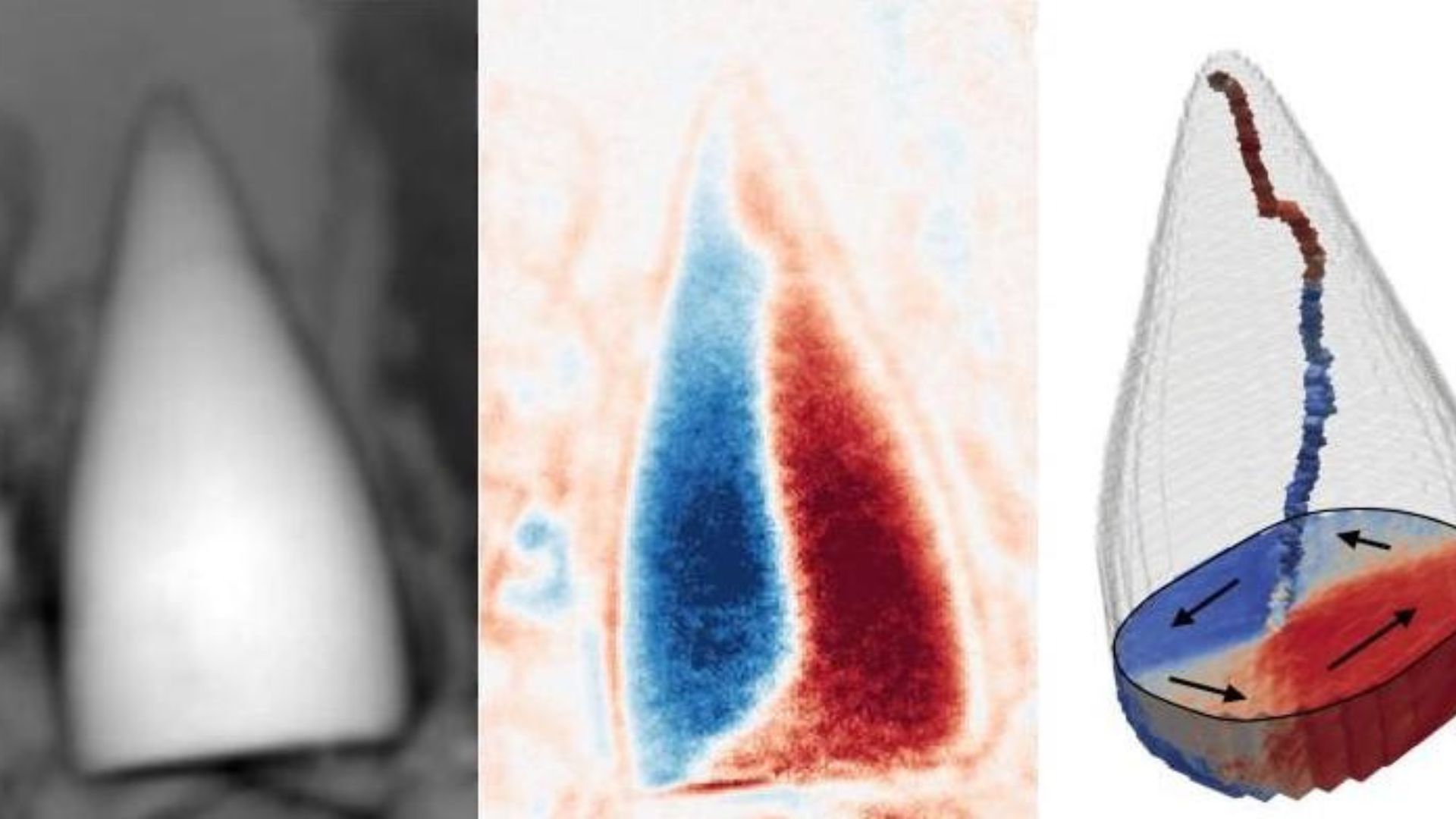 97-million-year-old magnetic fossils of mystery sea creature with inbuilt GPS discovered