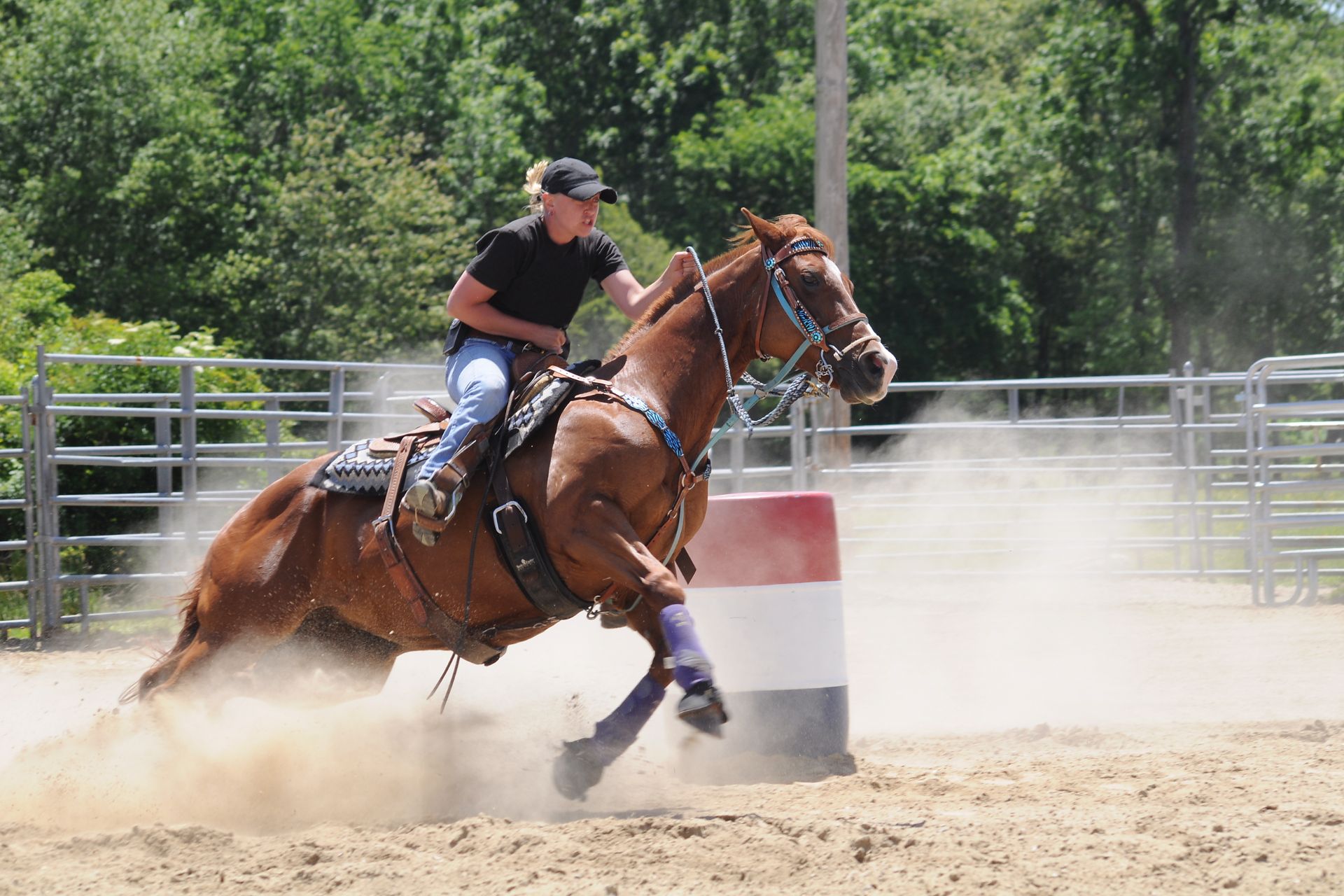 A Nasty Brain Illness Is Spreading Quickly Among Horses in the U.S. Here’s What You Need to Know