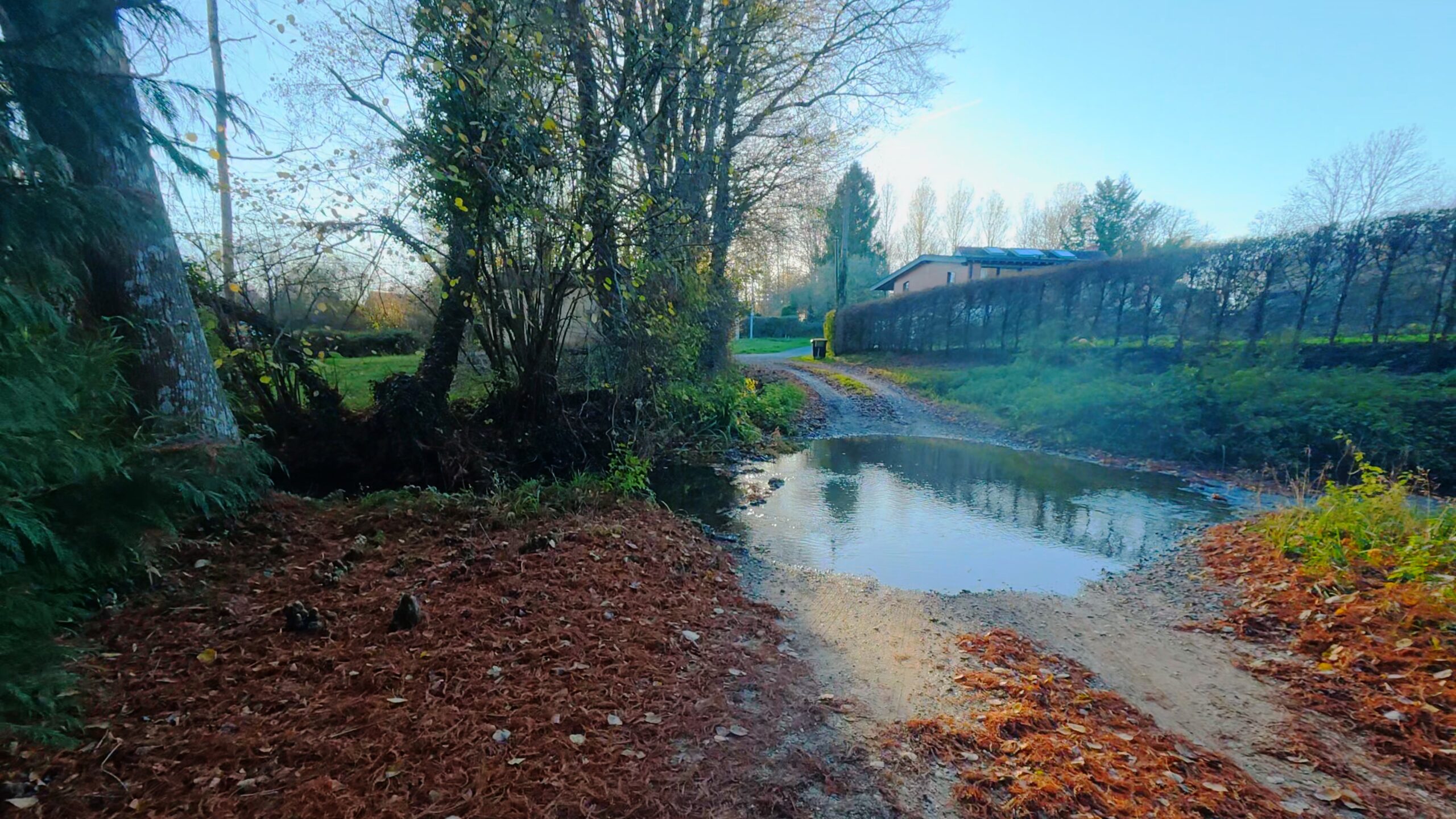 DJI Osmo Action 6 review: An action camera that excels in low light