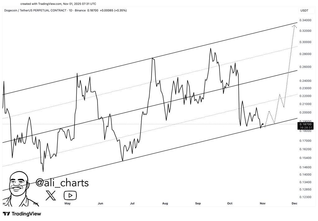 Dogecoin Must Defend This Level To Avoid A $0.07 Meltdown, On-Chain Data Shows