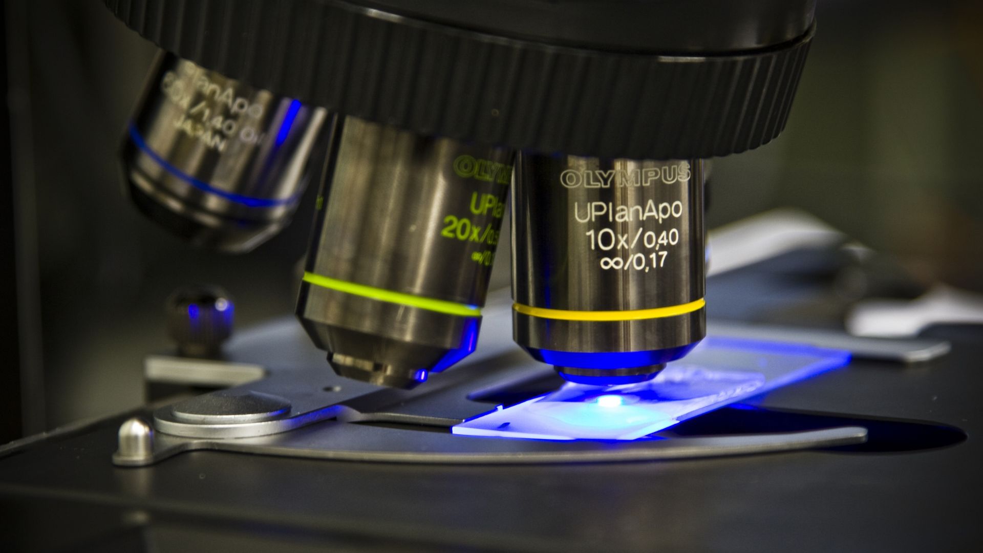 Dual-light microscope captures micro detail and nano motion with 14x expanded range