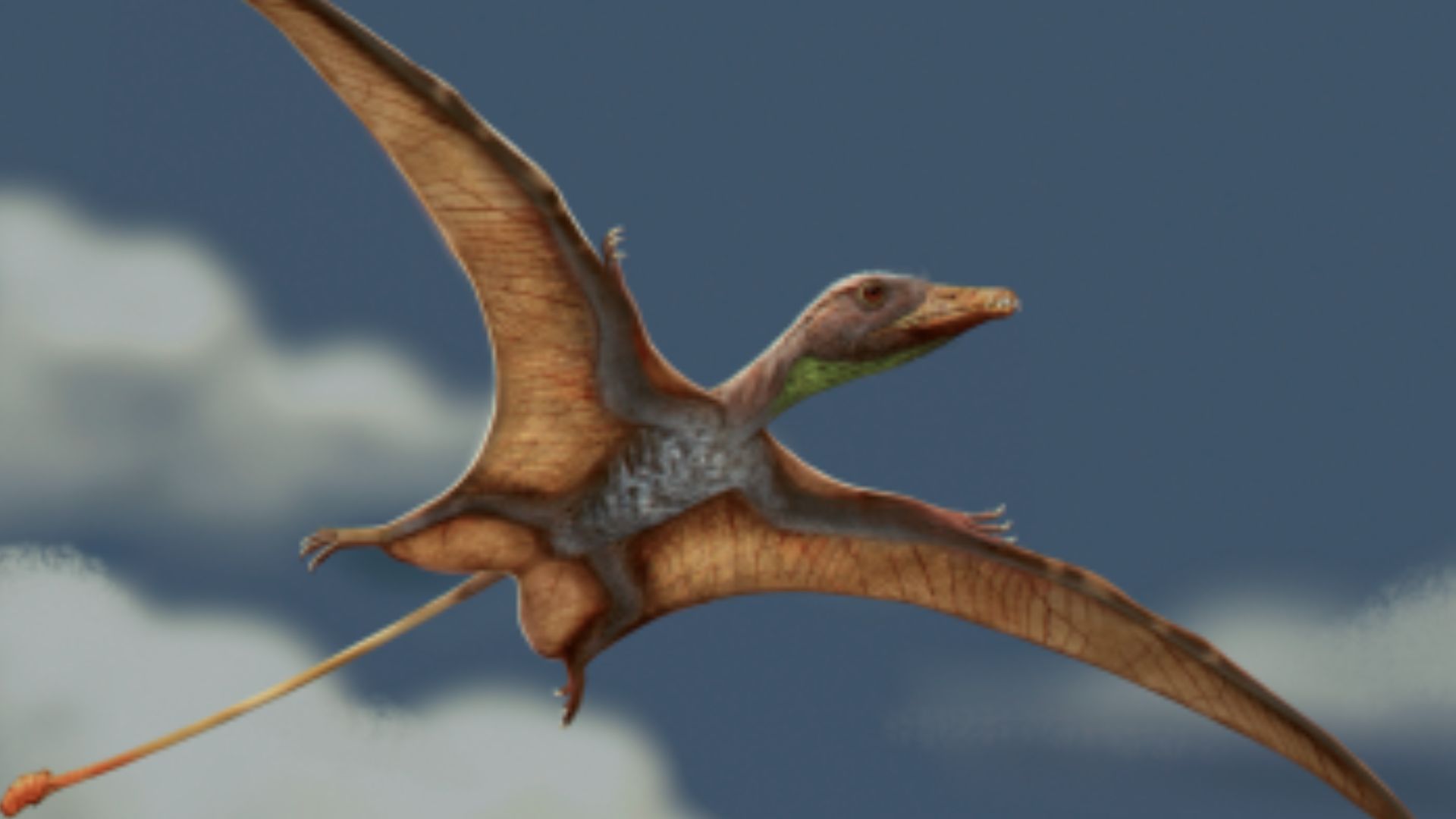 Fossil brains reveal pterosaurs built their own ‘flight computers’