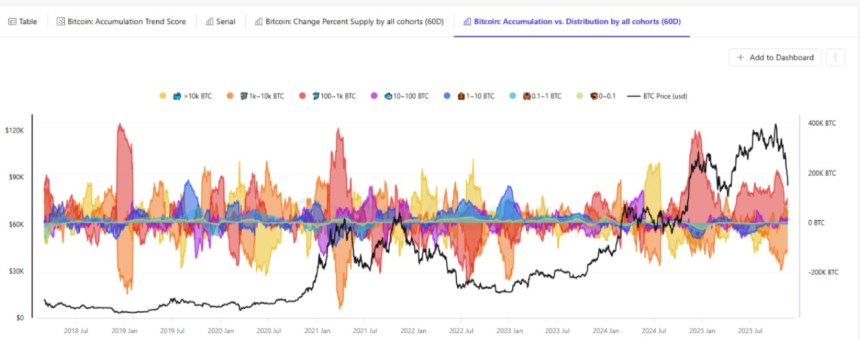 Has The Bitcoin Price Hit Its Bottom? Key On-Chain Data Signals Potential Rebound Ahead