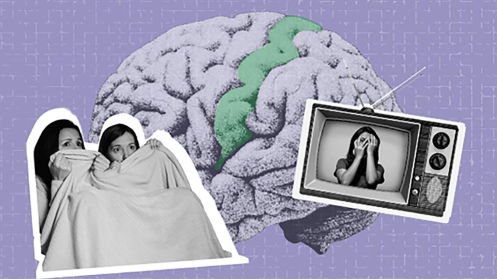 Hollywood hits Inception and The Social Network help reveal how vision triggers touch