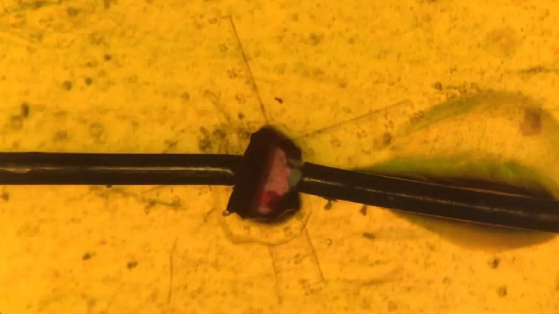 Lead-free hybrid turns motion into electricity with power rivaling toxic ceramics