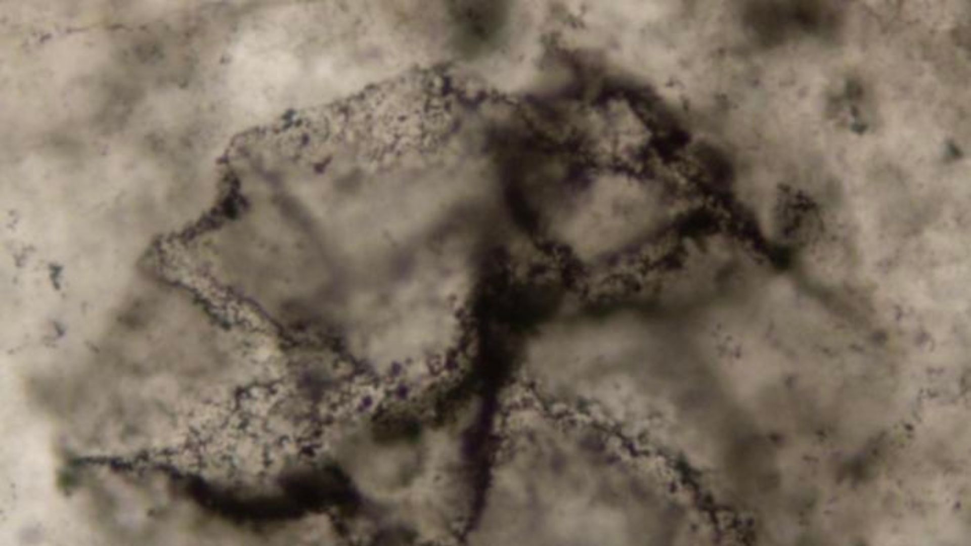 Life clues found in 3.3-billion-year-old rocks, pushing back Earth’s timeline