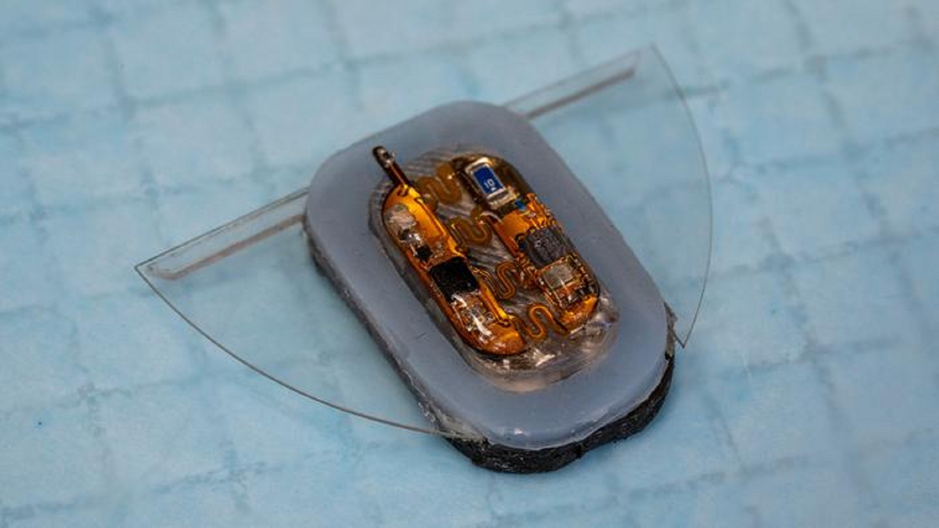 Manta ray-inspired soft robot uses magnetic fields to swim and power itself autonomously