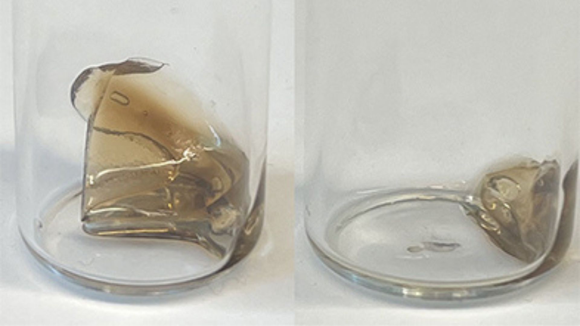 Scientists develop self-destructing plastic that can break down naturally on demand