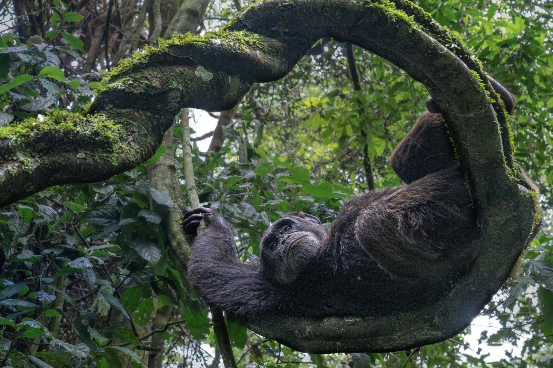 Sit Back and Enjoy the Winning Images From This Year’s Nature inFocus Photography Awards