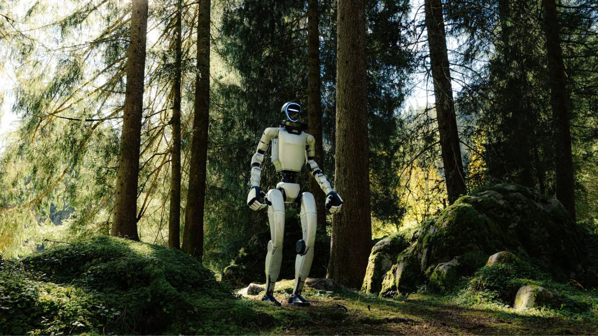 Video: Humanoid robot goes ‘mountain-grade’ while autonomously picking up litter 