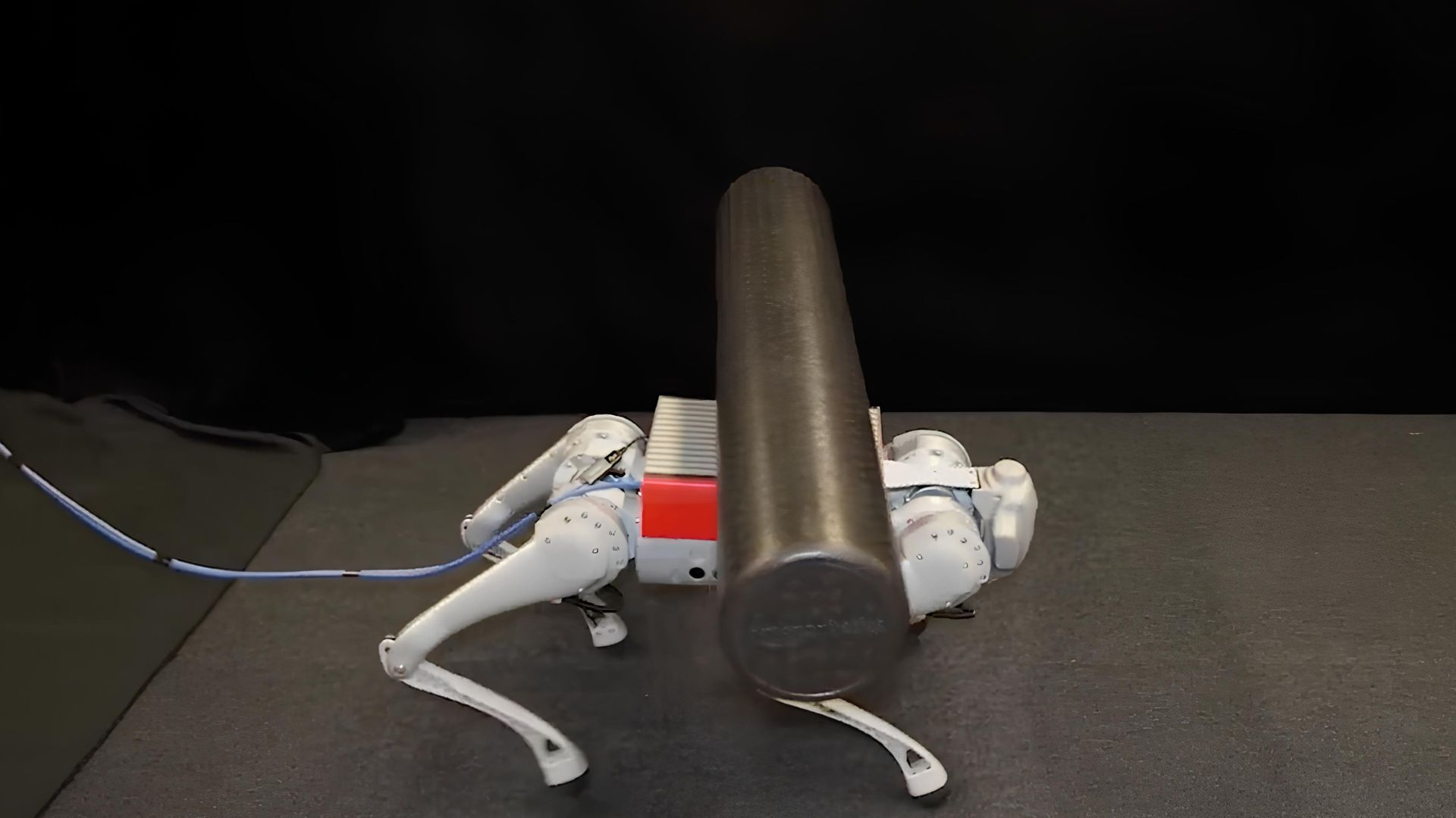 Video: Robot dog balances rolling object on its back while dodging obstacles