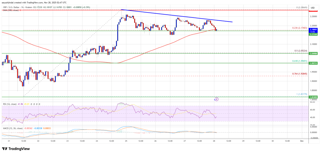 XRP Bulls Lose Grip as Signals Point Toward Another Decline