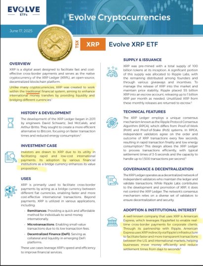 XRP Real Purpose: Documentation Shows Payment Utility Contrary To Viral Claims — Details