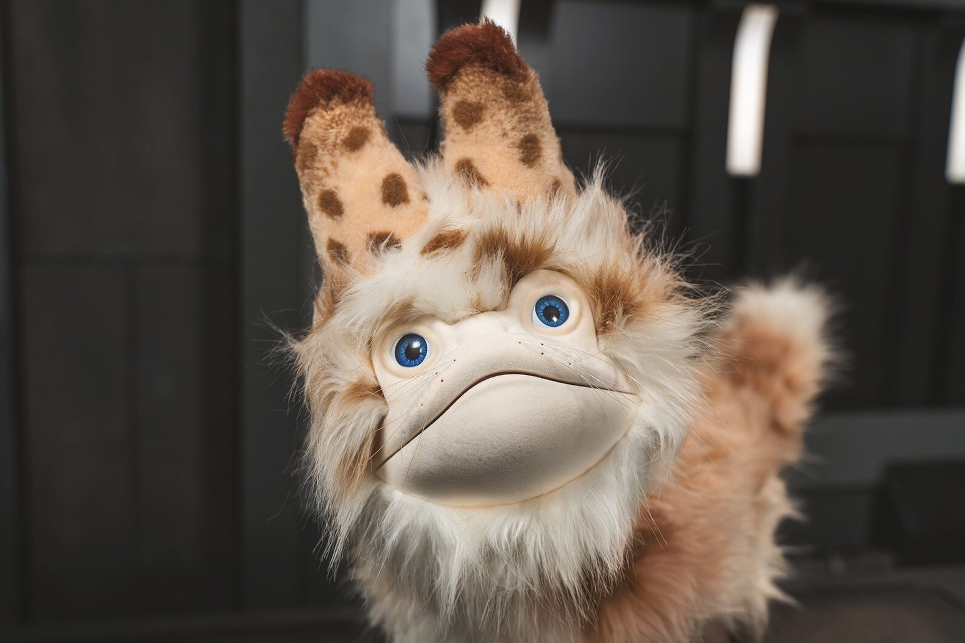 You’ll Soon Be Able to Own Your Very Own ‘Star Wars’ Loth Cat