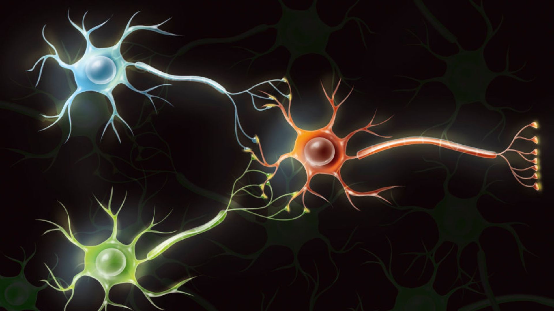 Biocomputers: Scientists are turning human brain cells into functional computers