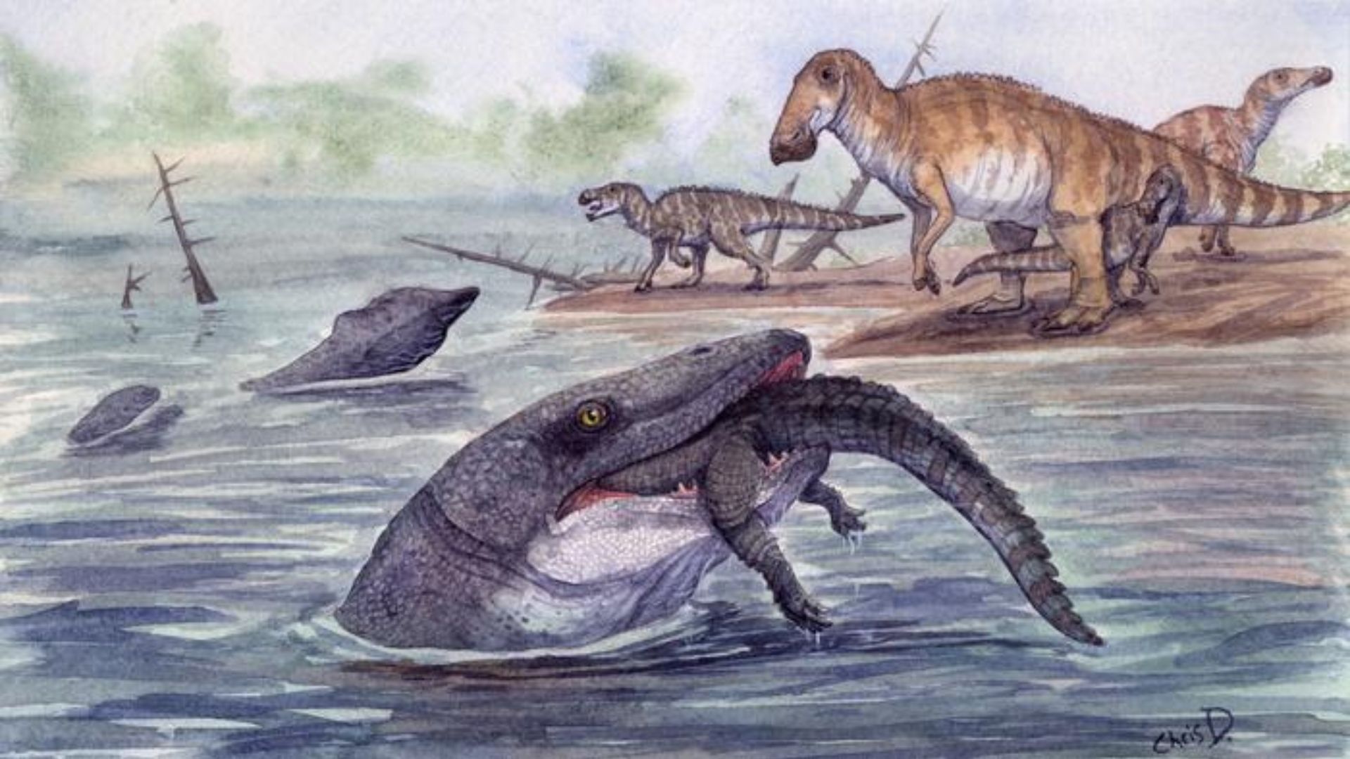 Bus-sized sea reptile roamed North Dakota rivers about 66 million years ago