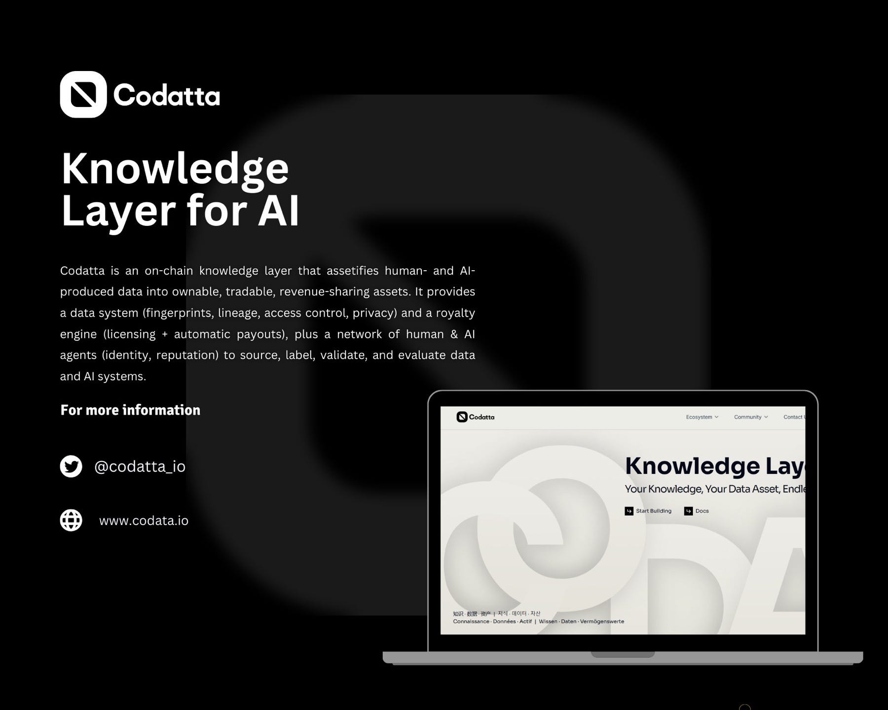 Codatta, the Data Paradox, and Why the AI Revolution is Hitting a Wall