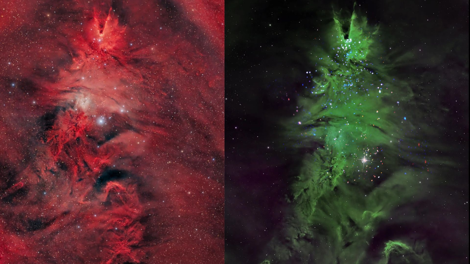 Cosmic Christmas tree: Star cluster 2,700 light-years away shows active star formation