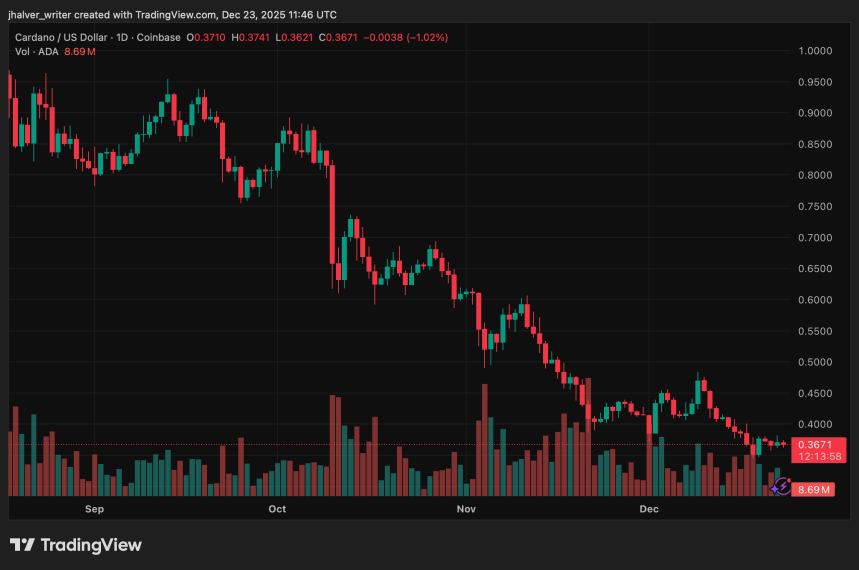 Founder Signals Long-Term Opportunity in Cardano DEXes as Price Consolidation Persists