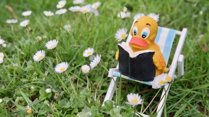 (g+) Softwareentwicklung: ChatGPT von Badeente ersetzt!