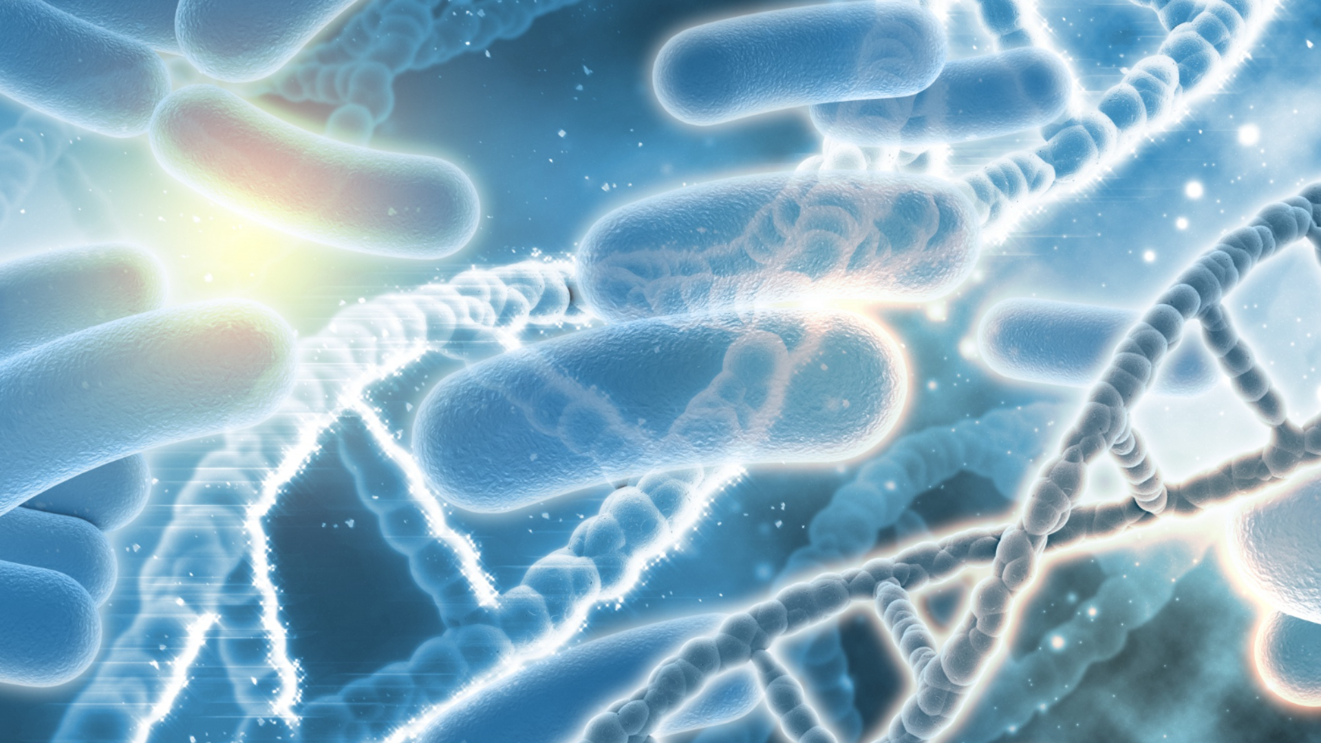 Invisible bacterial patterns hide messages until triggered with correct biochemical