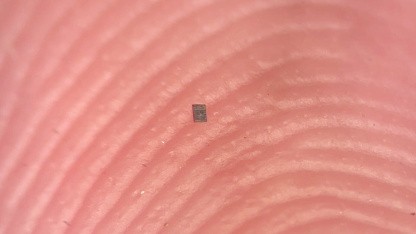 Nanotechnologie: Programmierbarer, autonomer Roboter ist kleiner als Salzkorn