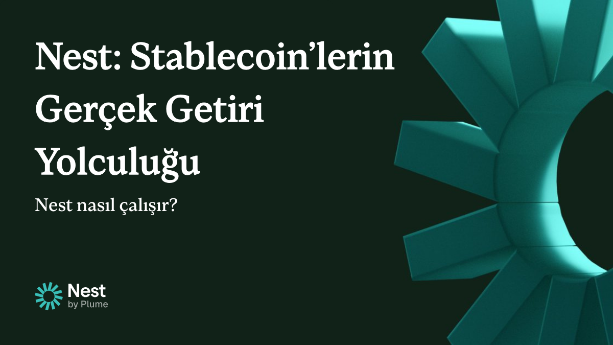Nest: Stablecoin’lerin Gerçek Getiri Yolculuğu