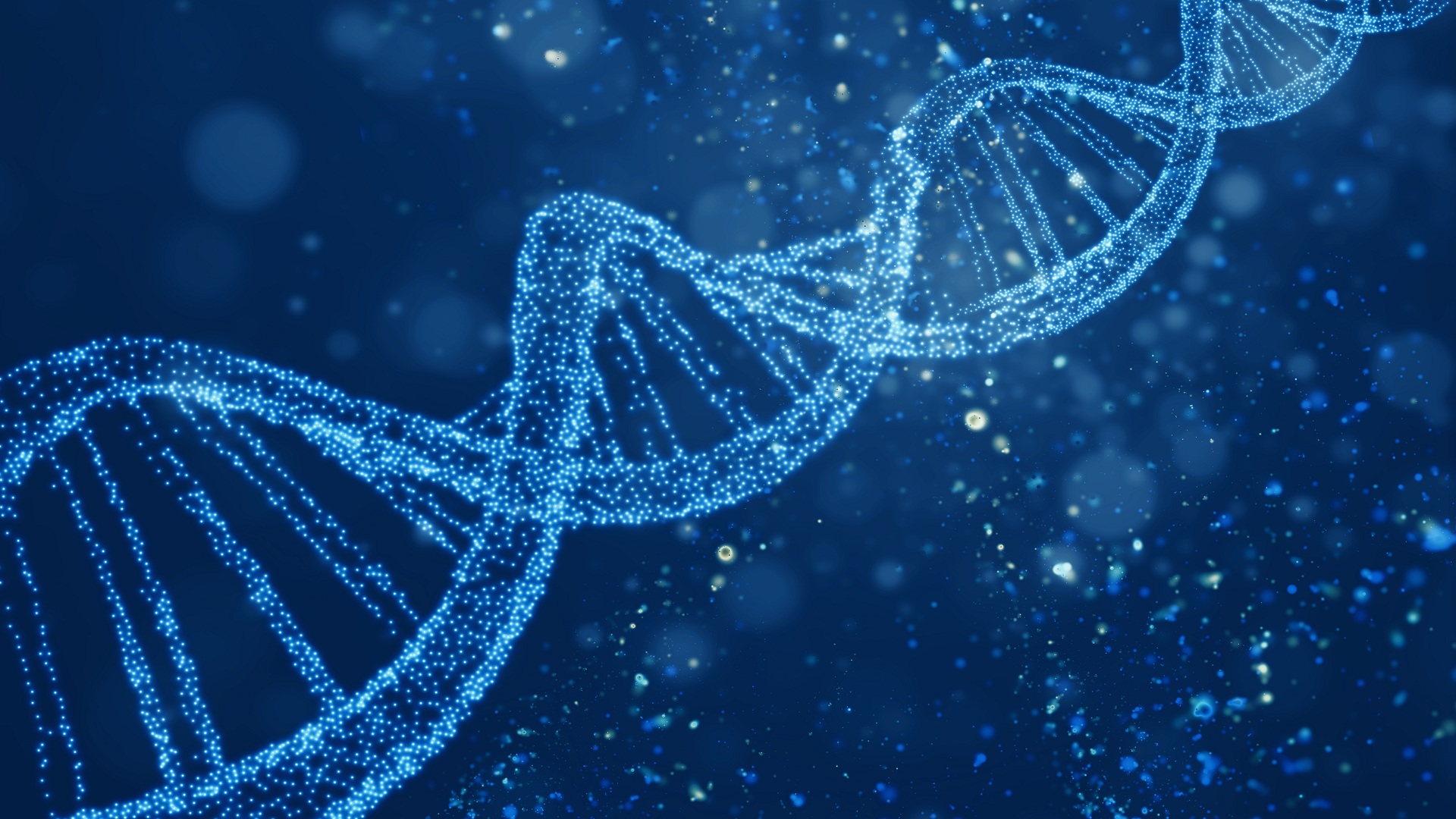 New 4D genome maps reveal how genes fold, interact, and reposition as cells divide
